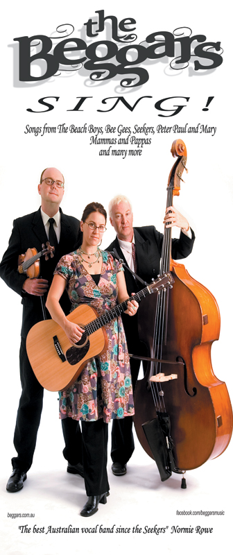 Sing Pull up Banner small